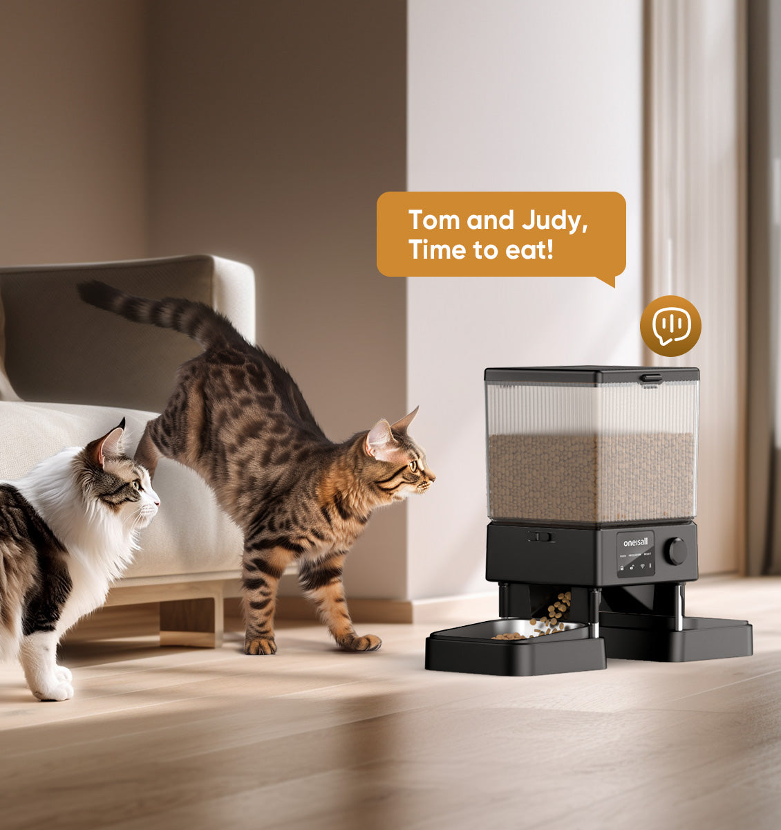 The Future of Feeding: Oneisall's Automatic Cat Food Dispenser