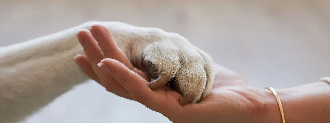 Dog Nail Clippers