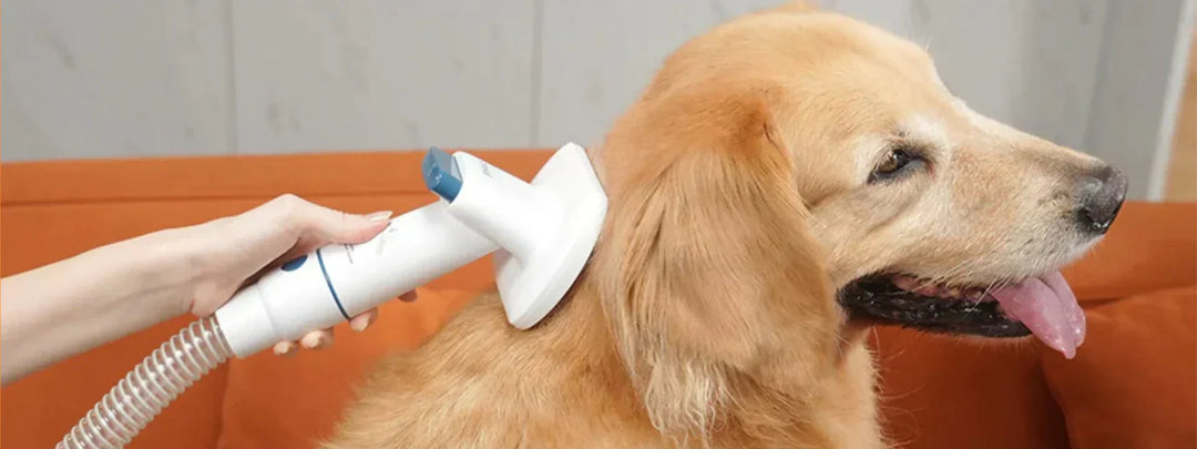 Pet Vacuums