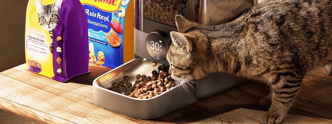 Does a Pet Vacuum Make a Difference?