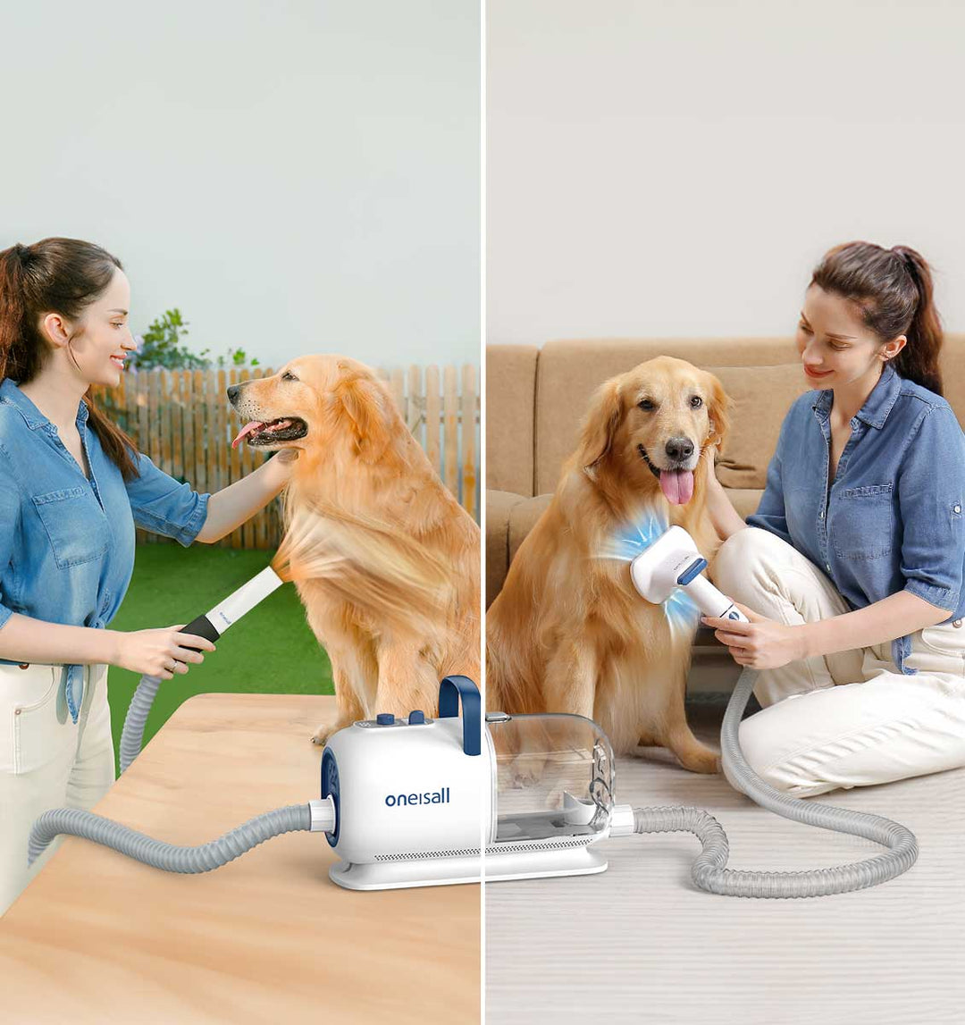 How Do You Groom Your Pet In Winter?