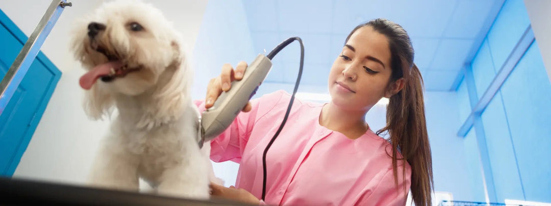 pet hair trimmer
