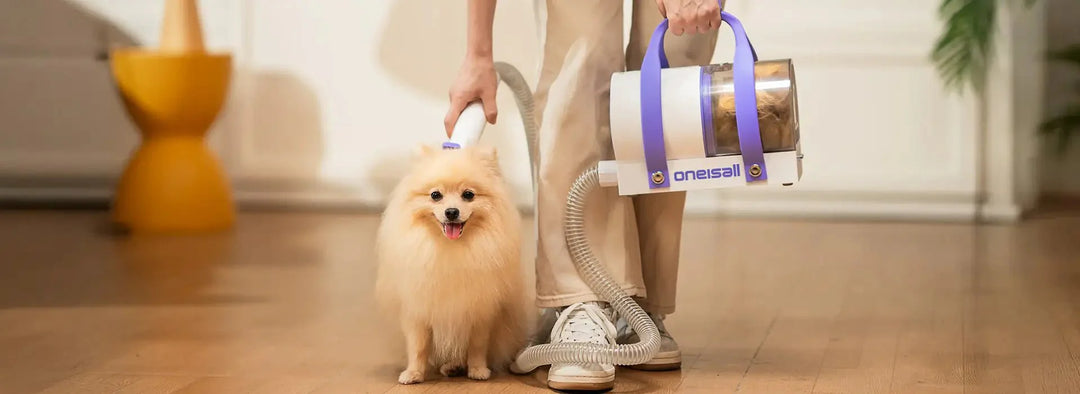 dog grooming vacuum