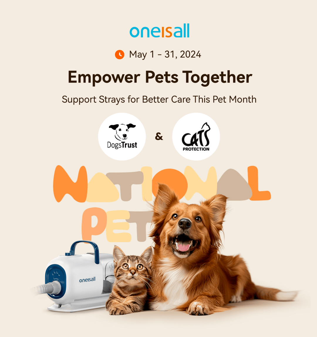 Pet Grooming and Hygiene Practices
