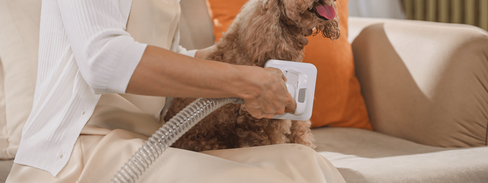 View of Top 7 Dog Grooming Mistakes and How to Avoid Them – oneisall