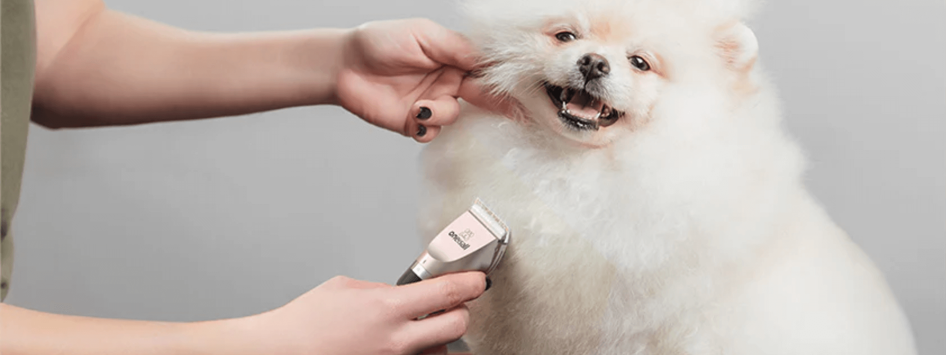 What Are Some Beginner-Friendly Pet Grooming Tools? - oneisall - Heart Friendly Dog Grooming Tools