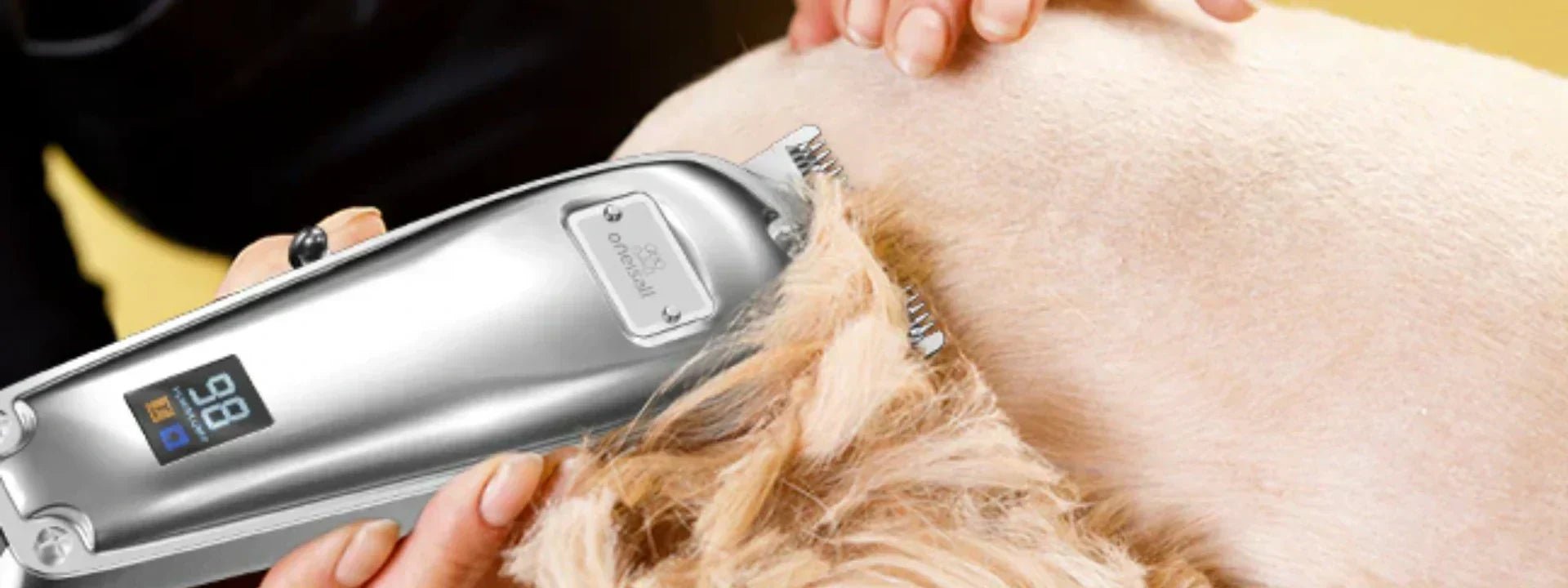 Curated visual reference: Clipping Matted Dog Fur Reference: Best Way To Trim Lightly Matted Dog Hair At Home