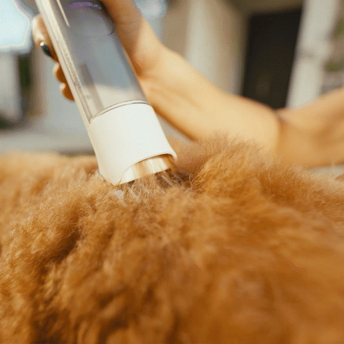 oneisall dog grooming vacuum kit