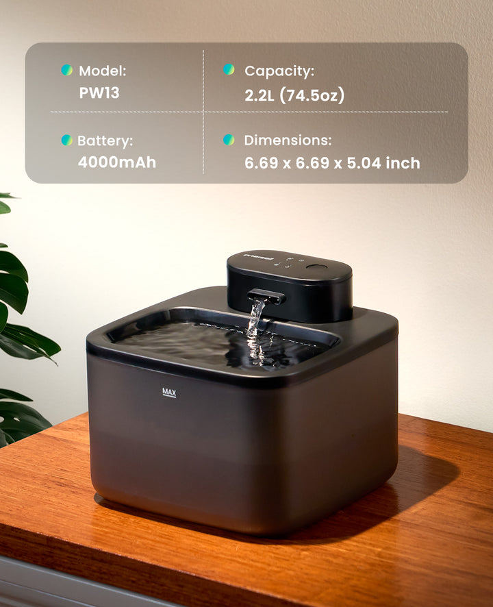 oneisall Wireless Cat Water Fountain: 74oz/2.2L Cordless Pet Water Fountains, 20dB Ultra-Quiet Integrated SilentFlowโข Pump Battery Operated for Cats Indoor, Easy to Clean Automatic Cat Water Dispenser