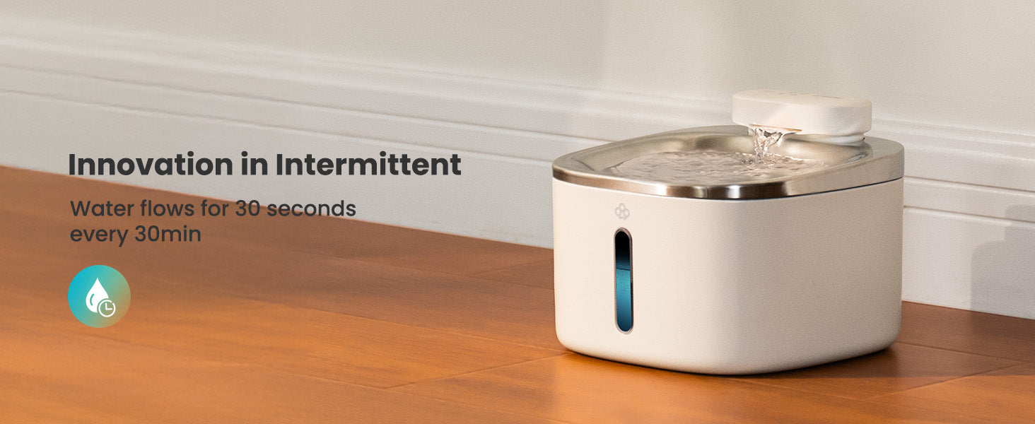 small pet drinking fountain