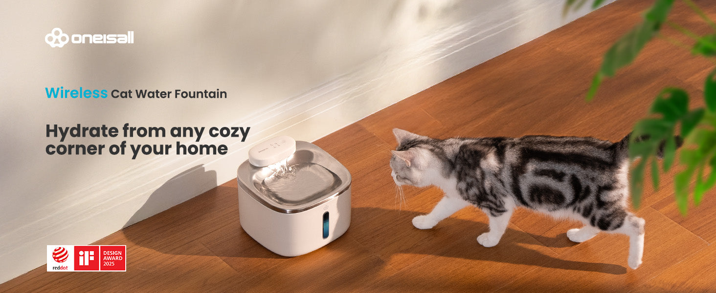 stainless steel water dispenser for cats