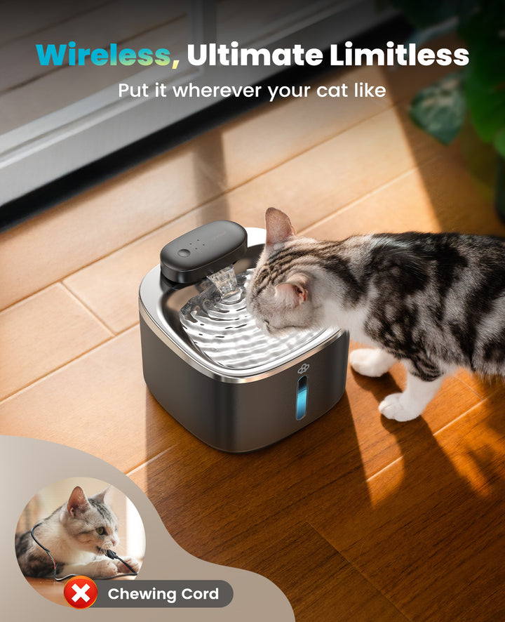 Oneisall 3.5L  Cordless Black Stainless Steel Pet Water Fountain with 3PCS Filters