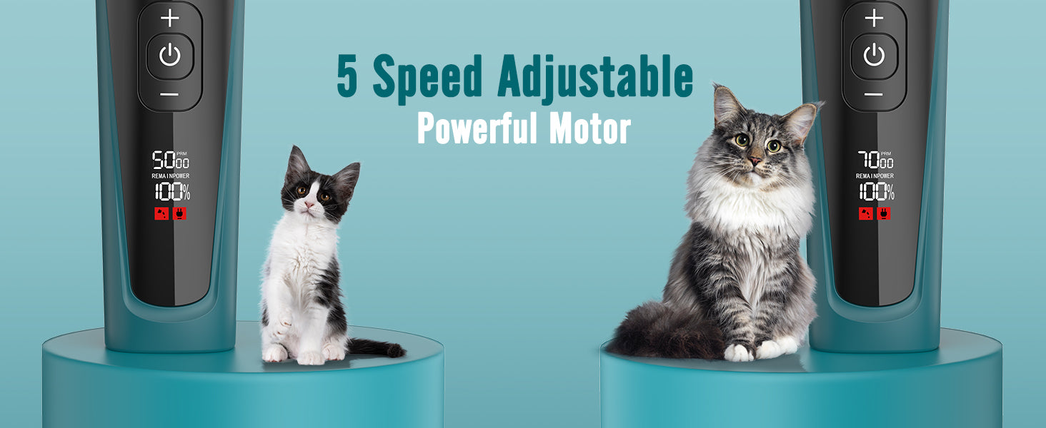 dog clippers oneisall