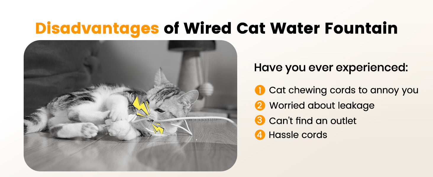 stainless steel cat water fountain