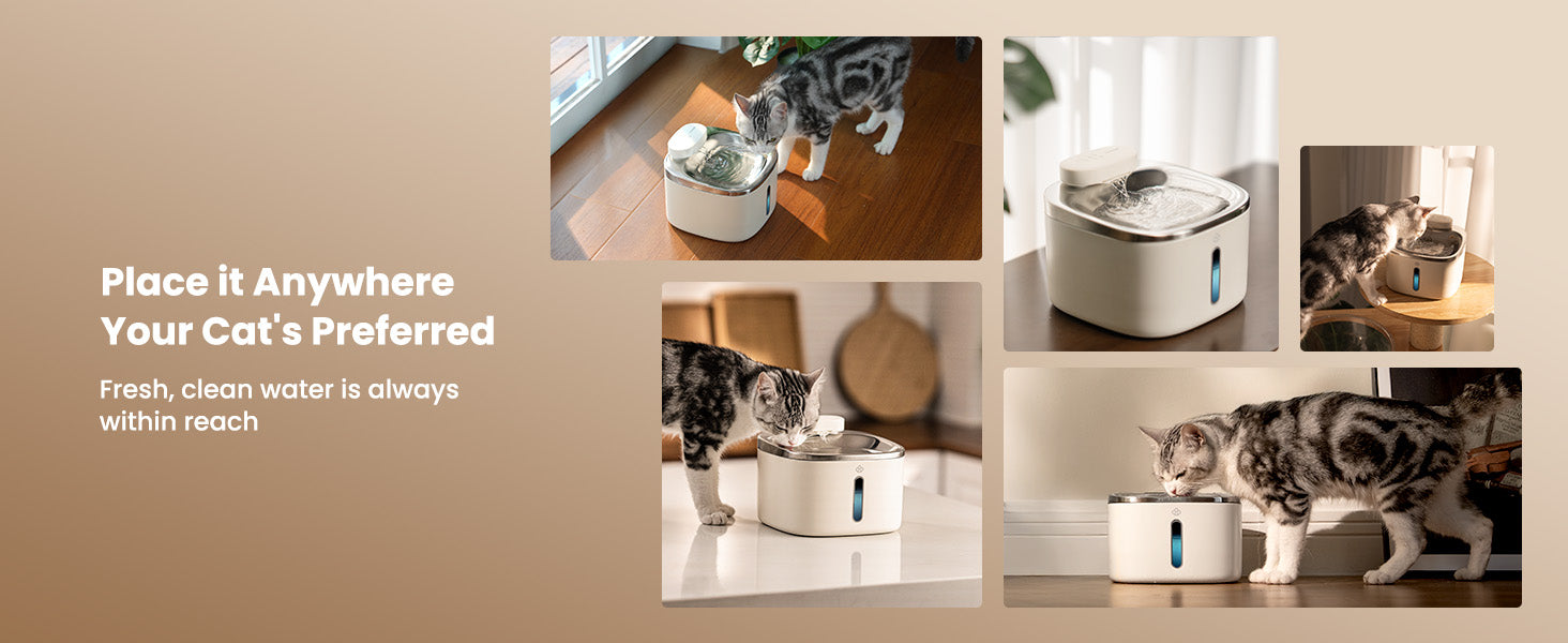 small pet drinking fountain