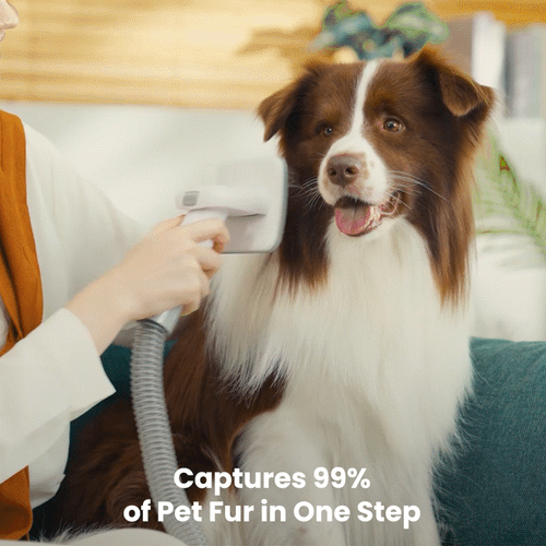 oneisall dog grooming vacuum kit