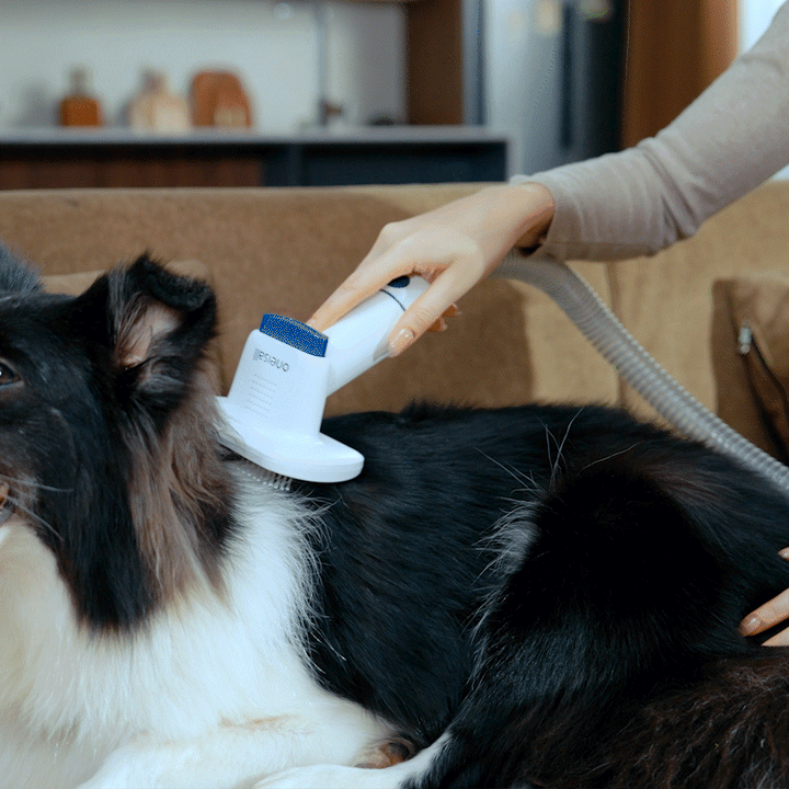 oneisall dog grooming vacuum kit