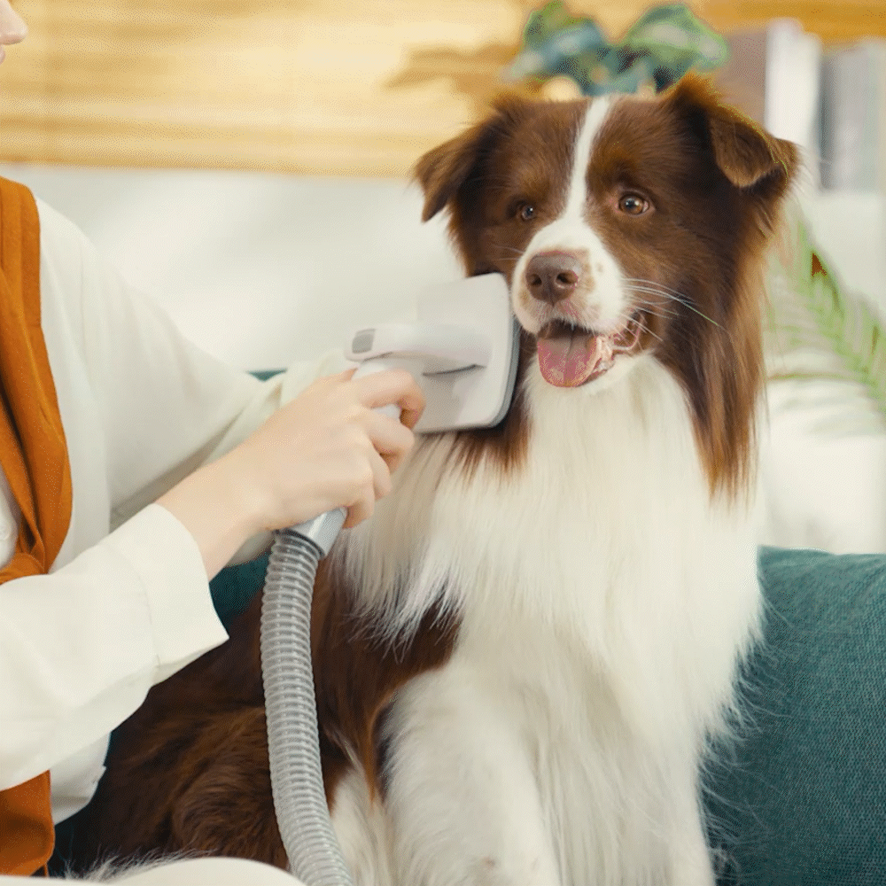 professional dog clippers with vacuum