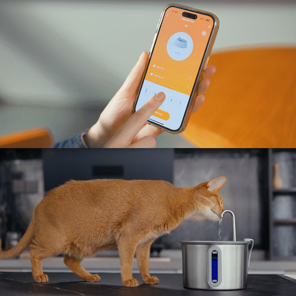 Oneisall 3.5L Automatic Cat Feeder with APP & 2L Cat Water Fountain Set