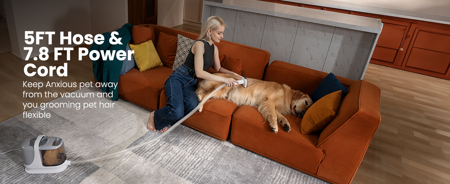 quiet pet grooming vacuum for cats