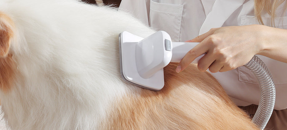 professional dog clippers with vacuum