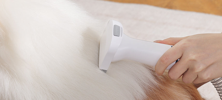 professional dog clippers with vacuum