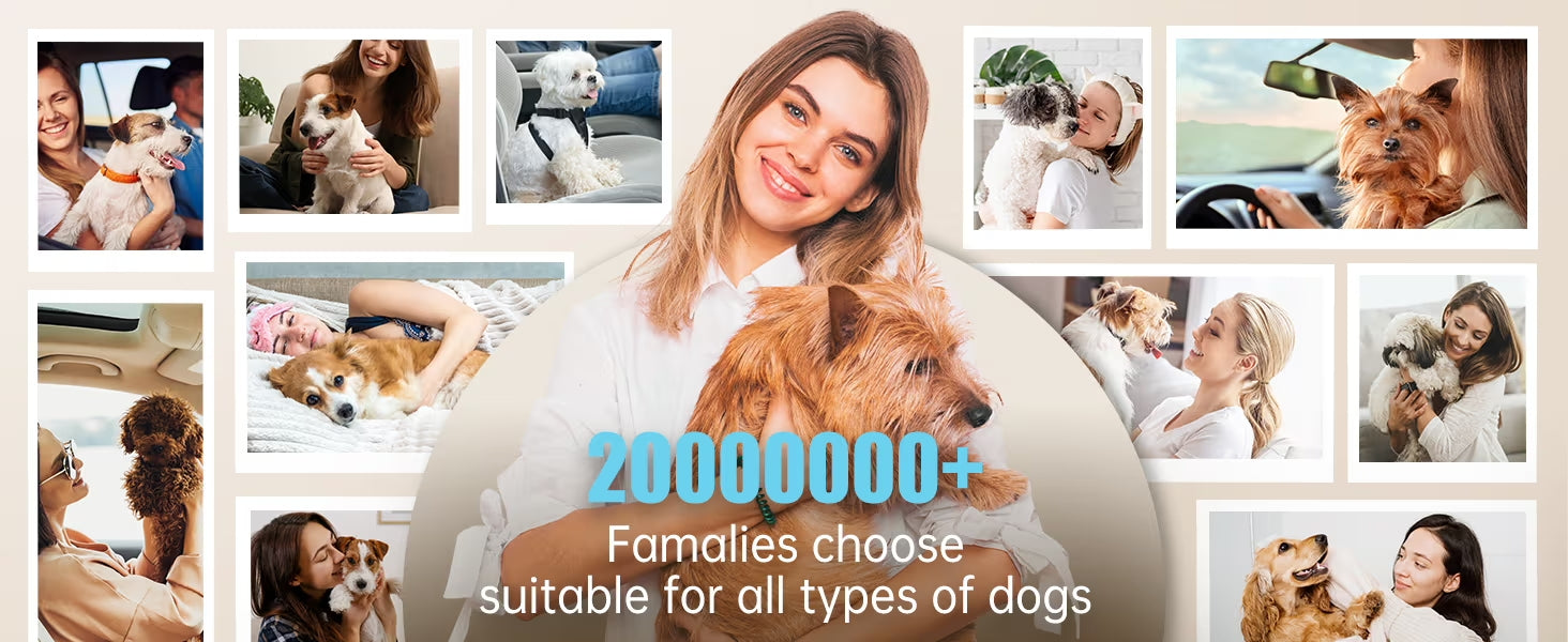suitable for all types of dogs