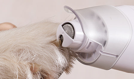 professional dog clippers with vacuum