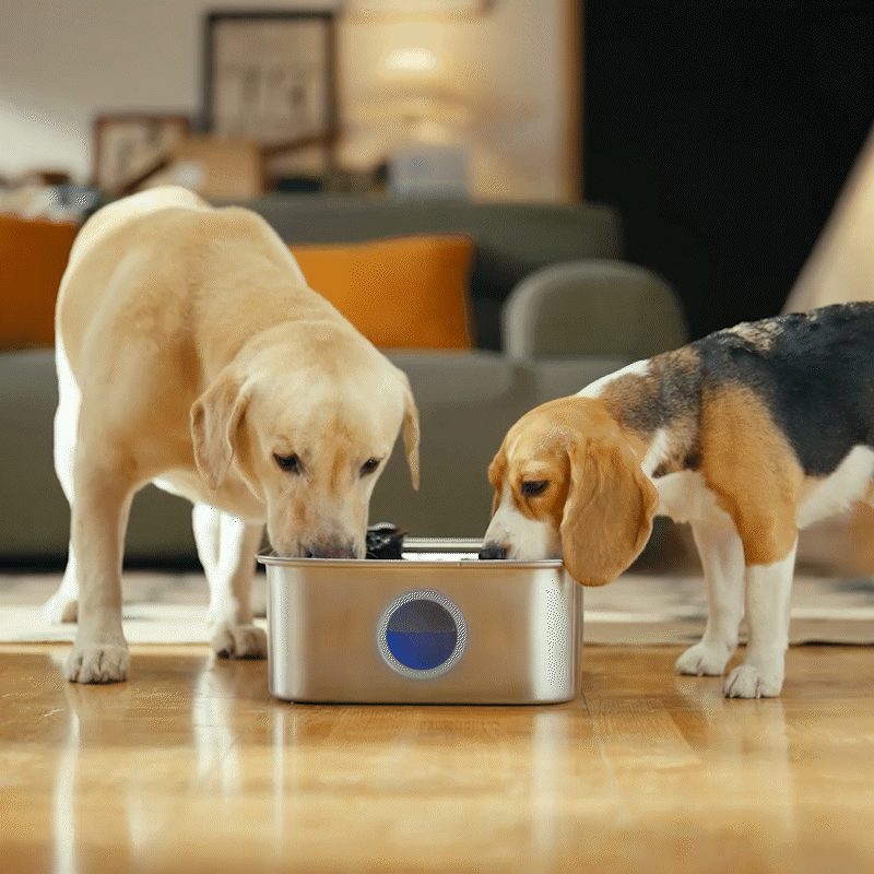 Oneisall 10L Pet Water Fountain with 11 PCS Filters