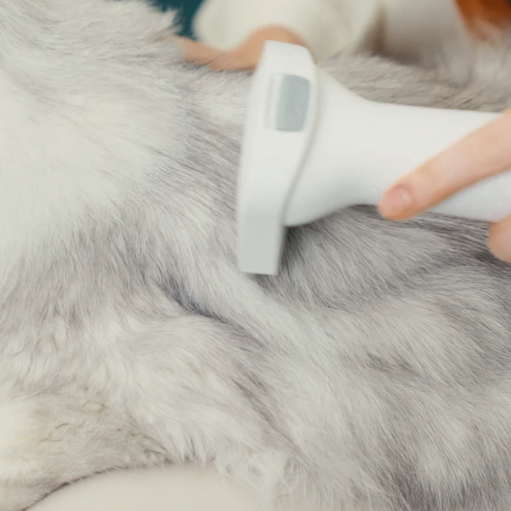 oneisall dog grooming vacuum kit