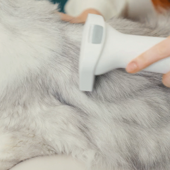 oneisall dog grooming vacuum kit