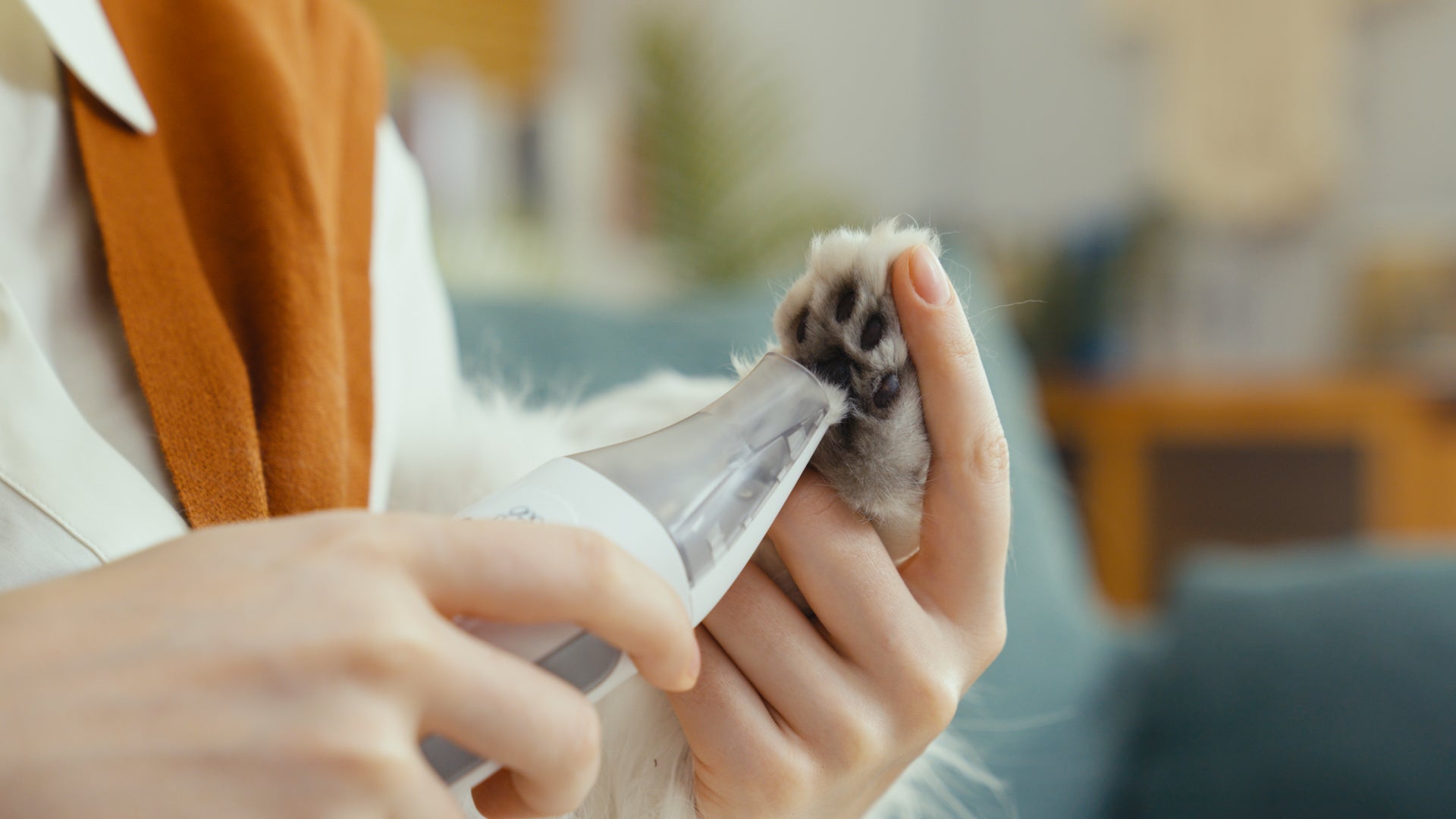 professional dog clippers with vacuum