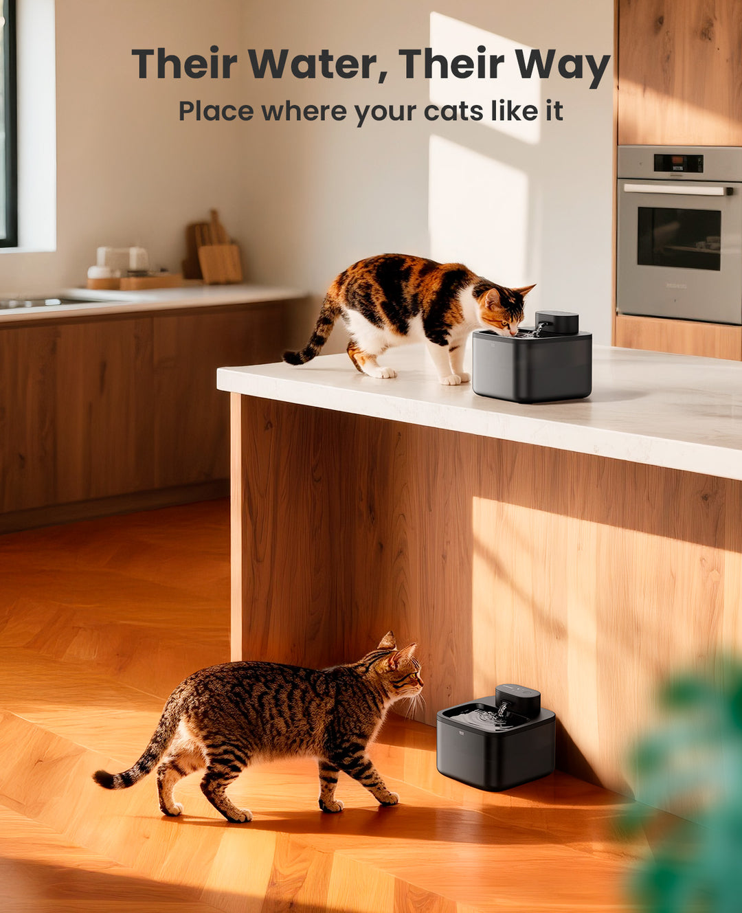 oneisall Wireless Cat Water Fountain: 74oz/2.2L Cordless Pet Water Fountains, 20dB Ultra-Quiet Integrated SilentFlowโข Pump Battery Operated for Cats Indoor, Easy to Clean Automatic Cat Water Dispenser