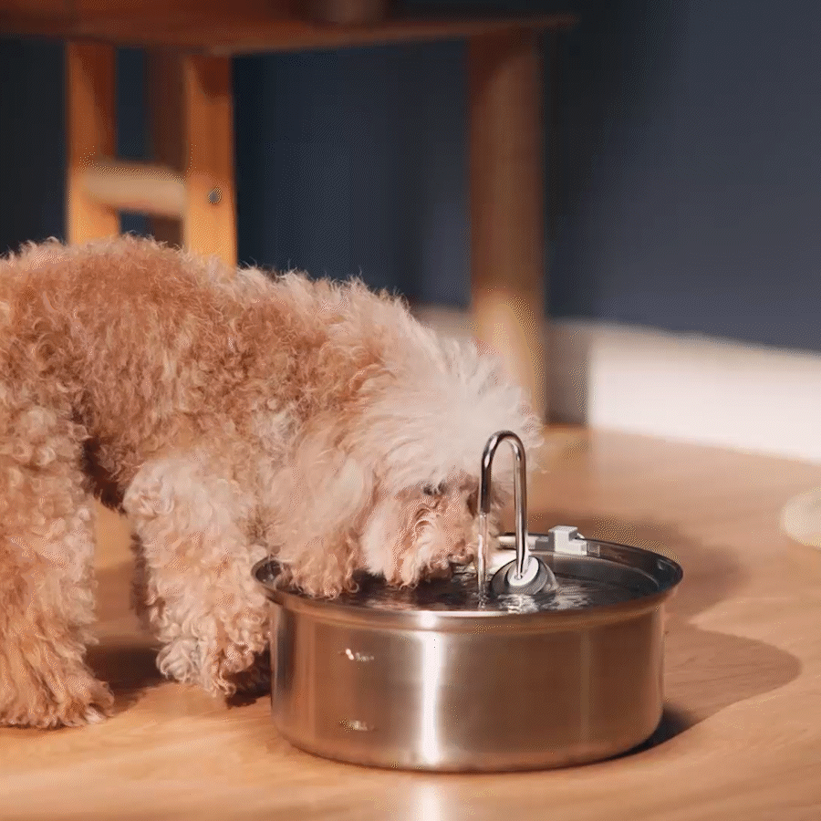 Oneisall 7L Pet Water Fountain with 1.5m Power Cord