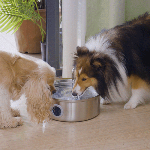 Oneisall 7L Pet Water Fountain with Visual Water Level & 11 PCS Filters