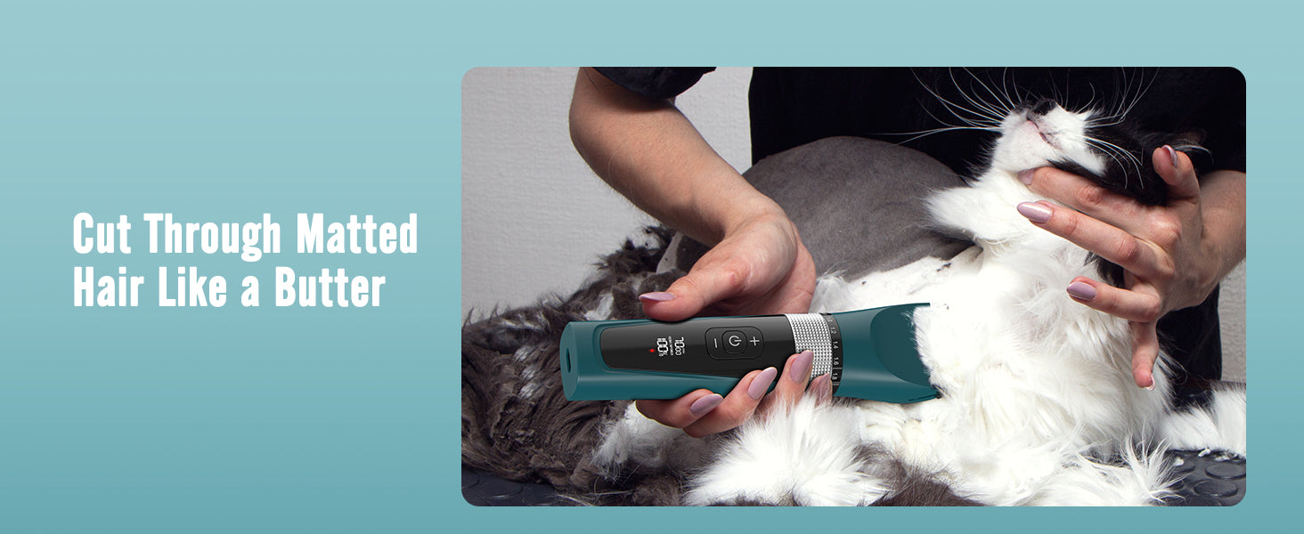 Speeds Cat Clipper