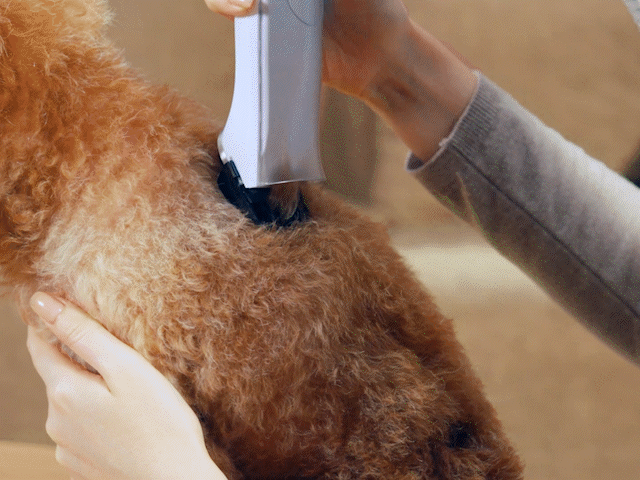 professional dog clippers with vacuum