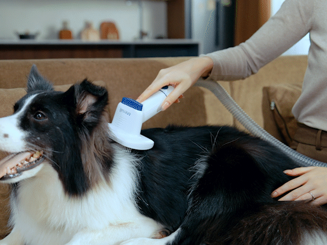 professional dog clippers with vacuum