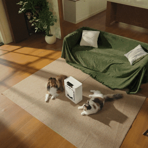 Oneisall Air Purifier for Homes with Pets, Double-Sided Inlet