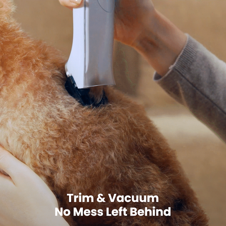 professional dog clippers with vacuum