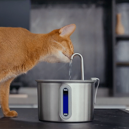 Oneisall 2L Cat Water Fountain with 11 PCS Filters