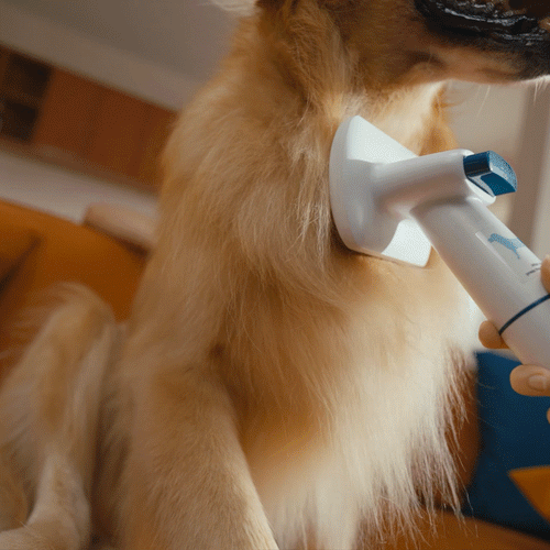 professional dog clippers with vacuum
