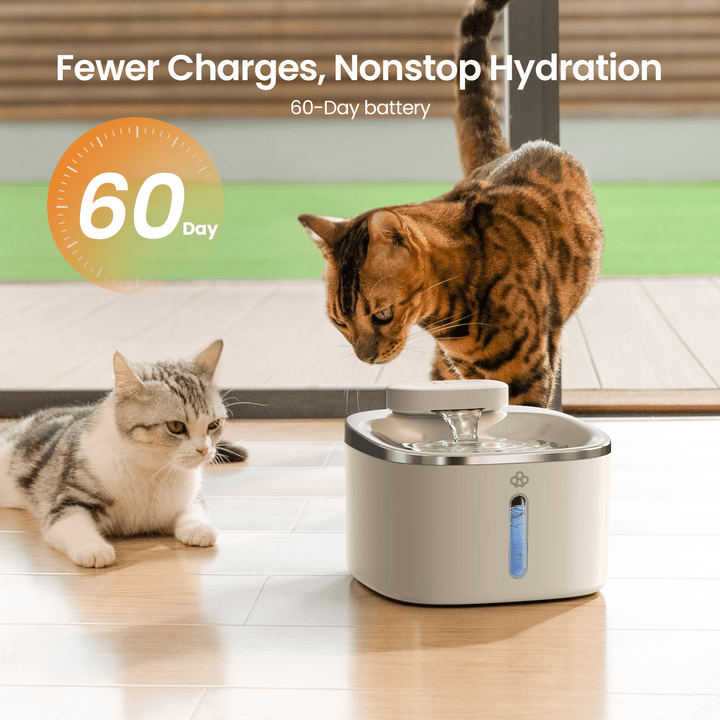 3.5L cat water fountain white