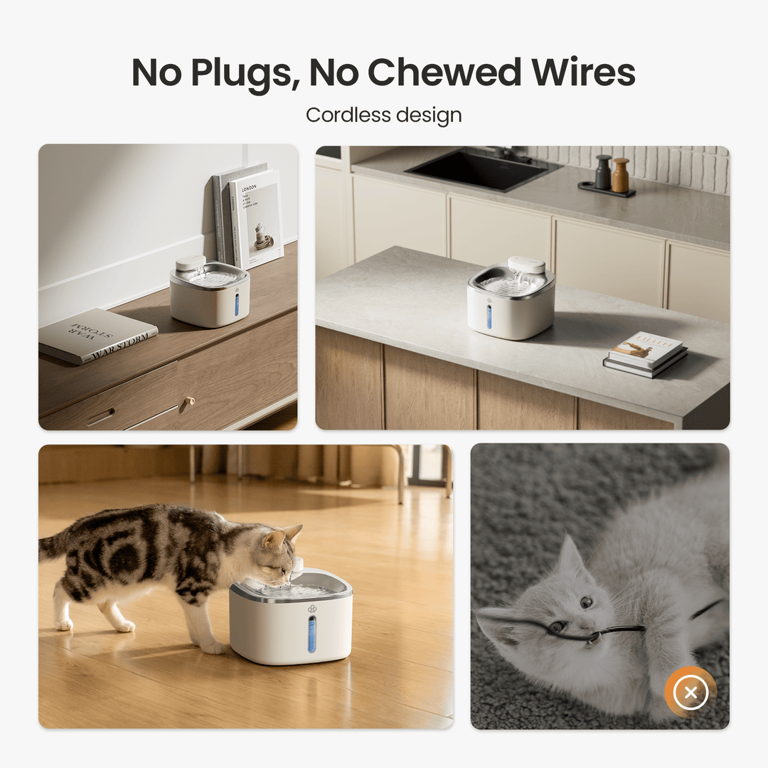 3.5L cat water fountain white