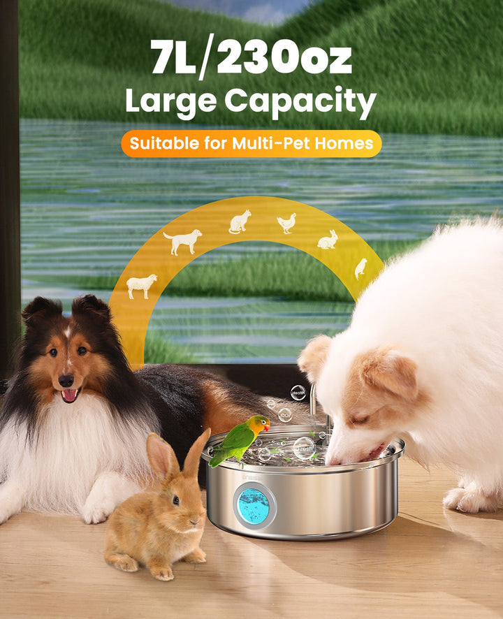 7L Dog Water Fountain with Visual Water Level