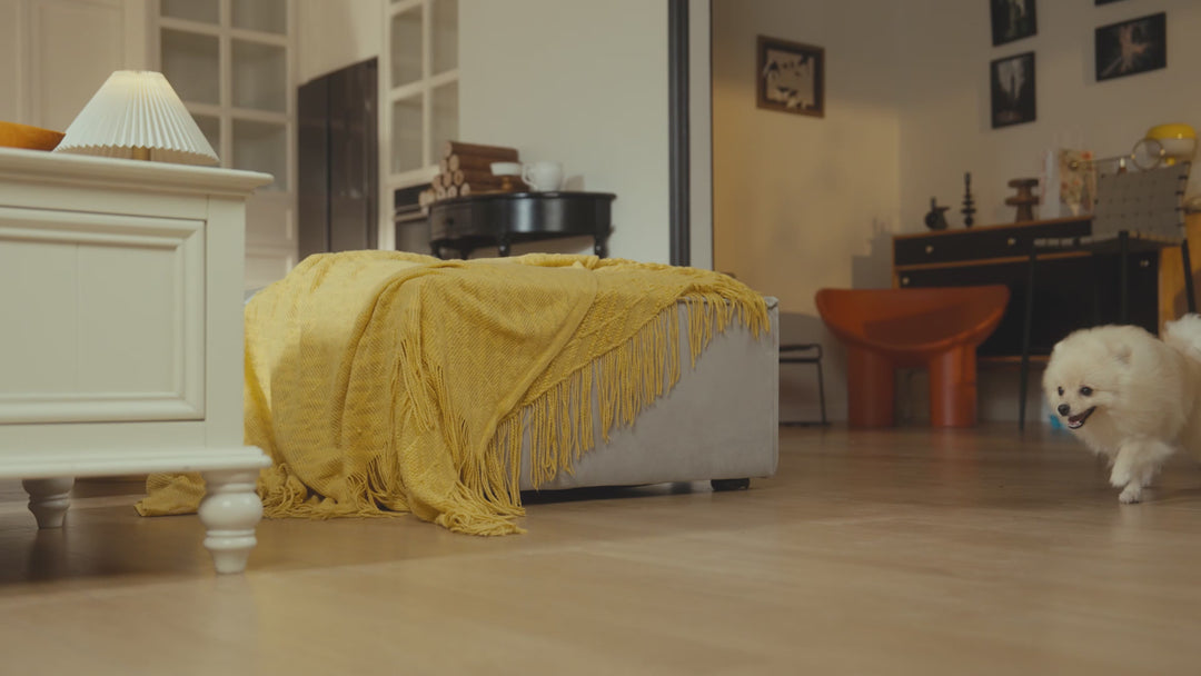 cordless pet grooming vacuum