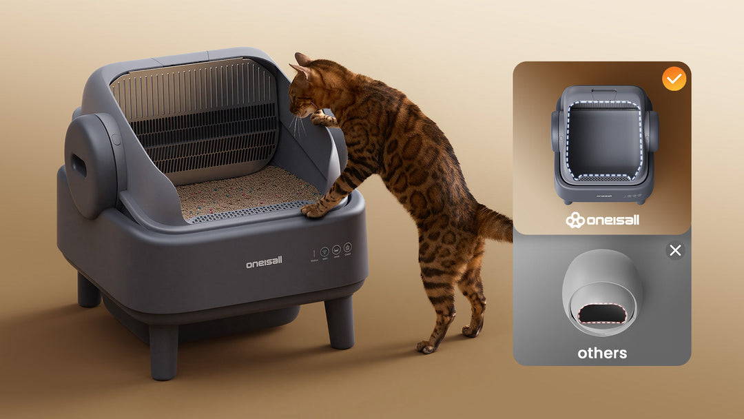 What Does a Smart Litter Box App Actually Do? Wi-Fi Control, Real-Time Alerts, and Offline Boundaries