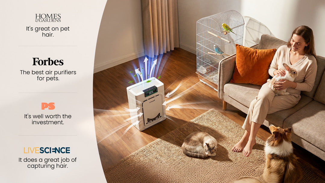 air-purifier-room-size-guide-pp02