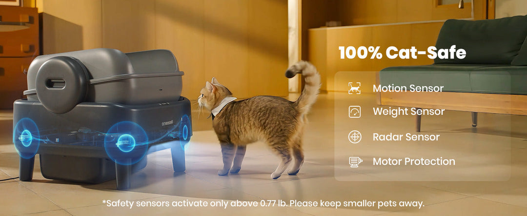 Are Automatic Litter Boxes Safe? Everything Cat Owners Need to Know in 2026