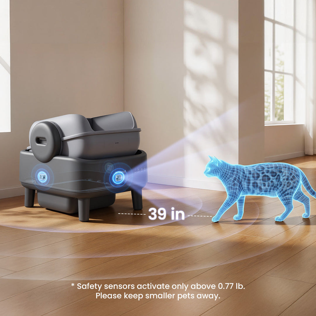 Are Automatic Litter Boxes Safe? Everything Cat Owners Need to Know in 2026